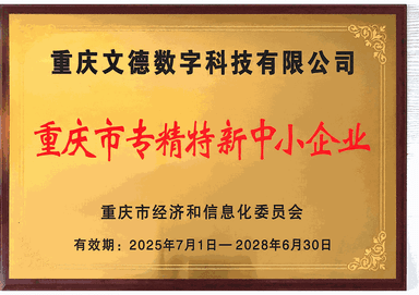 重庆专精特新企业证书