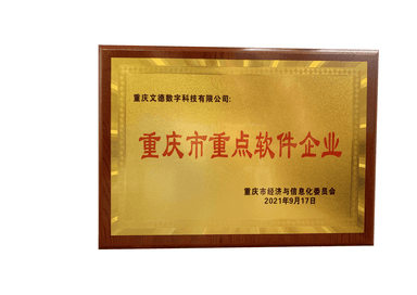 重庆市重点软件企业证书
